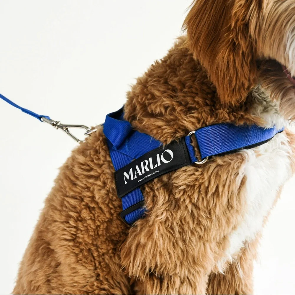 NIP Marlio Blue Adjustable Dog Harness Medium